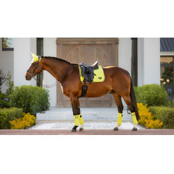 Tapis LeMieux Loire Classic Dressage Square Kiwi Kaki Tapis LeMieux Loire Classic Dressage Square Kiwi Kaki