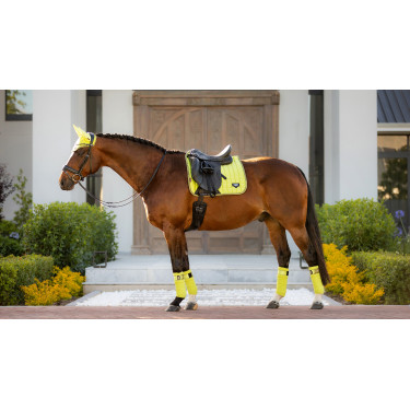 Tapis LeMieux Loire Classic Dressage Square Kiwi Kaki Tapis LeMieux Loire Classic Dressage Square Kiwi Kaki