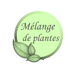 Garlic Plus ESC Laboratoire Garlic Plus ESC Laboratoire