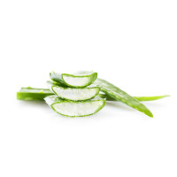 Jus d'aloe vera ESC Laboratoire Jus d'aloe vera ESC Laboratoire