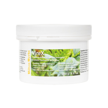 VireX Cream Hilton Herbs VireX Cream Hilton Herbs