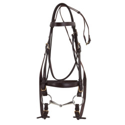 Bridon Excelsior Cheval de Trait Havane Marron