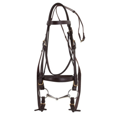 Bridon Excelsior Cheval de Trait Havane Marron