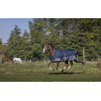 COUVERTURE Equi-Theme TYREX 600 D HIGH NECK 300G COUVERTURE Equi-Theme TYREX 600 D HIGH NECK 300G