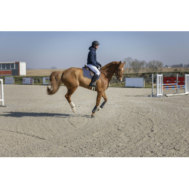 Veste matelassée Pro Series Diagonal Veste matelassée Pro Series Diagonal