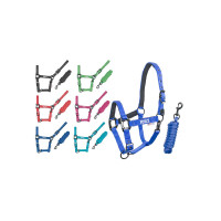 Licol Pool's nylon boucles noires avec longe Fuchsia