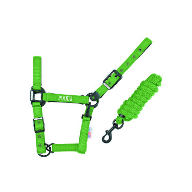 Licol Pool's nylon boucles noires avec longe Licol Pool's nylon boucles noires avec longe