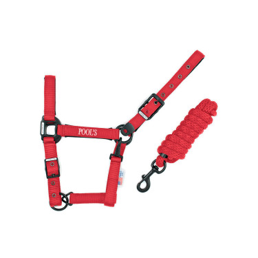 Licol Pool's nylon boucles noires avec longe Licol Pool's nylon boucles noires avec longe