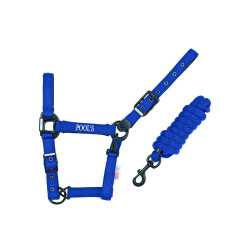 Licol Pool's nylon boucles noires avec longe Bleu royal