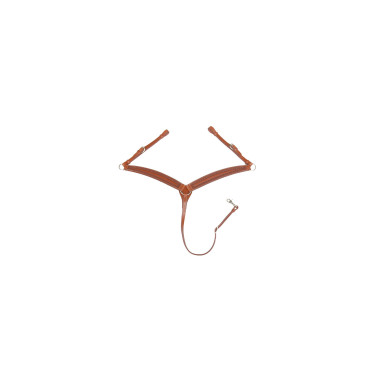 Collier de chasse western Pool's Border stamp Collier de chasse western Pool's Border stamp