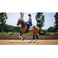 Bandes de polo LeMieux Luxury pour Poney