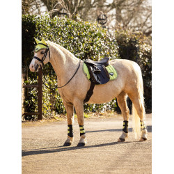 Bonnet anti-mouches LeMieux Junior Loire Kiwi Kaki Bonnet anti-mouches LeMieux Junior Loire Kiwi Kaki