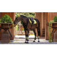Tapis LeMieux Prosport Suede Close contact Square Kiwi