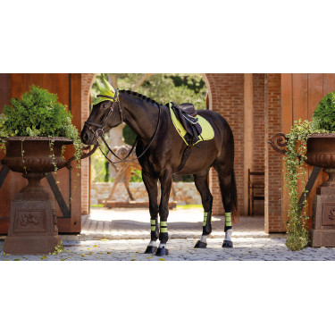 Tapis LeMieux Suede Close contact Square Tapis LeMieux Suede Close contact Square