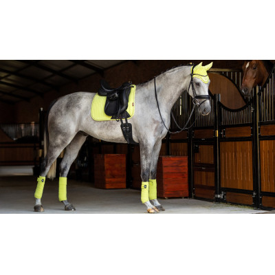 Tapis LeMieux Suede Dressage Square Kiwi