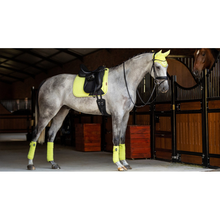 Tapis LeMieux Suede Dressage Square