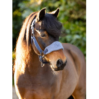 Licol mouton Vogue Mini LeMieux avec longe Chilli Licol mouton Vogue Mini LeMieux avec longe Chilli