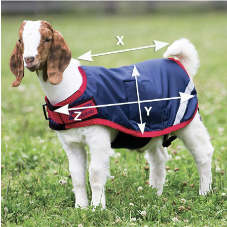 Illustration du guide des tailles pour Cadeaux Horseware