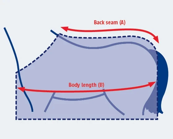 Illustration du guide des tailles pour Couverture cheval Weatherbeeta