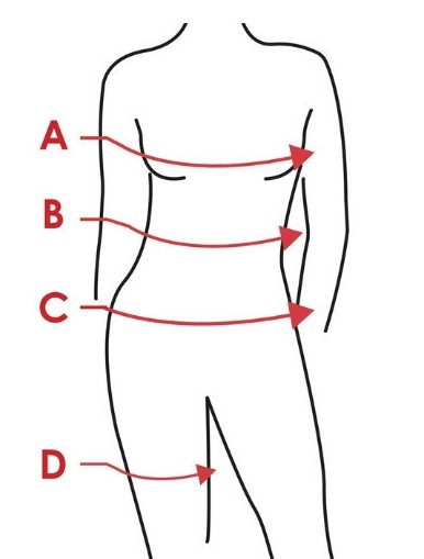 Illustration du guide des tailles pour Tee shirt équitation Harcour