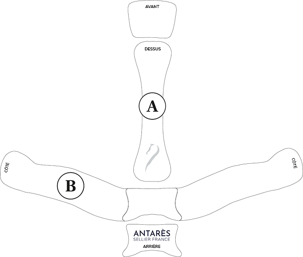 Illustration du guide des tailles pour Accessoires protection cavalier Antares