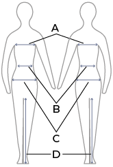 Illustration du guide des tailles pour Vestes de concours Equithème