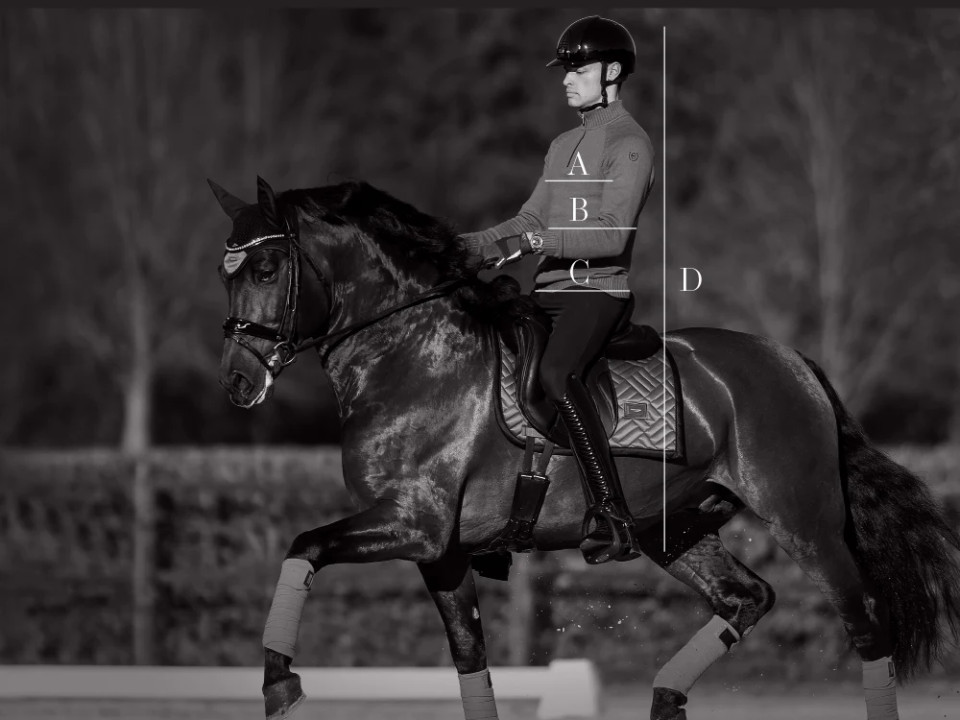 Illustration du guide des tailles pour Polos, tee-shirts et chemises Equestrian Stockholm