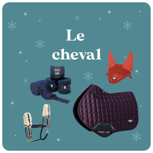 Cheval Soldes Hiver 2023