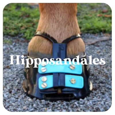 Hipposandales cheval