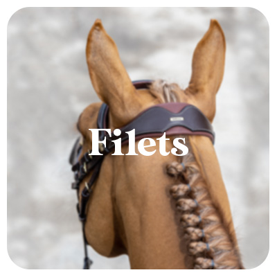 Crapouillotage: Equitation : L'équipement du cavalier et du cheval