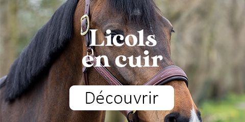Licol cheval de trait cheval de trait Norton Club - LICOLS CUIR - PADD