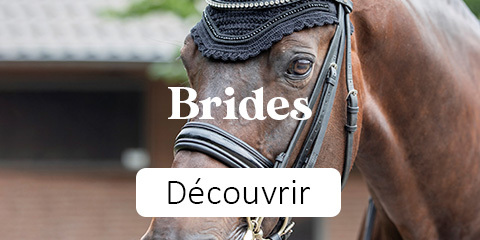 Bride cheval